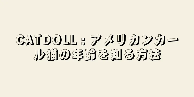 CATDOLL : アメリカンカール猫の年齢を知る方法