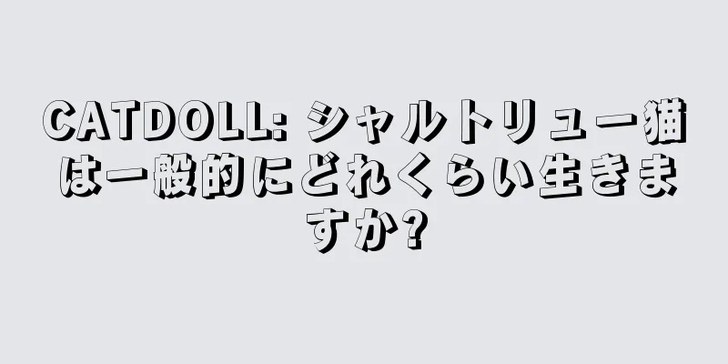 CATDOLL: シャルトリュー猫は一般的にどれくらい生きますか?