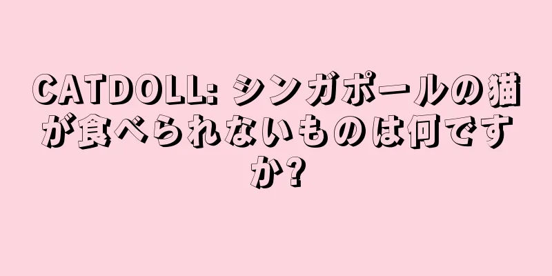 CATDOLL: シンガポールの猫が食べられないものは何ですか?
