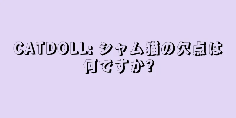 CATDOLL: シャム猫の欠点は何ですか?