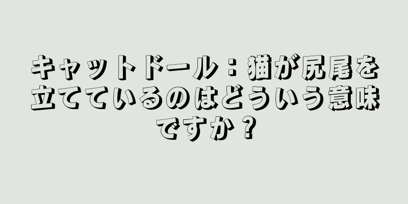 キャットドール：猫が尻尾を立てているのはどういう意味ですか？