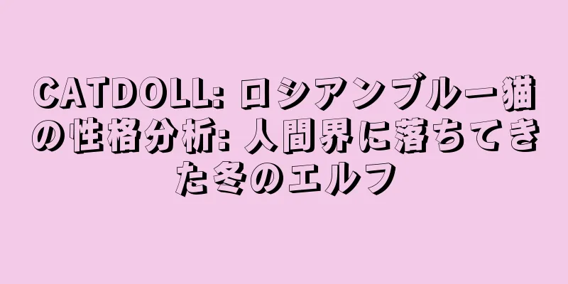 CATDOLL: ロシアンブルー猫の性格分析: 人間界に落ちてきた冬のエルフ