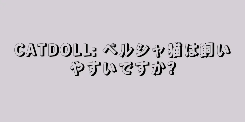 CATDOLL: ペルシャ猫は飼いやすいですか?