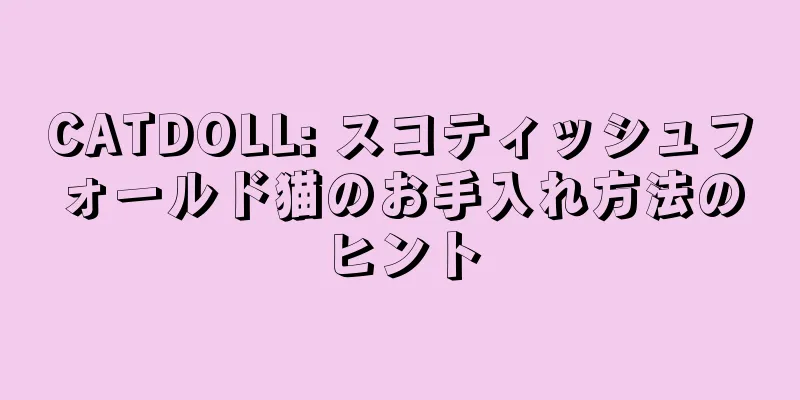 CATDOLL: スコティッシュフォールド猫のお手入れ方法のヒント