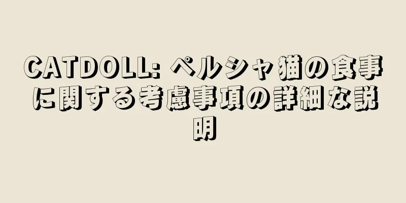 CATDOLL: ペルシャ猫の食事に関する考慮事項の詳細な説明