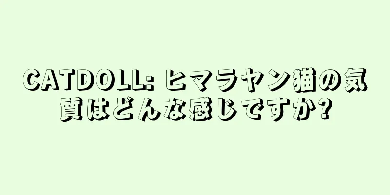 CATDOLL: ヒマラヤン猫の気質はどんな感じですか?