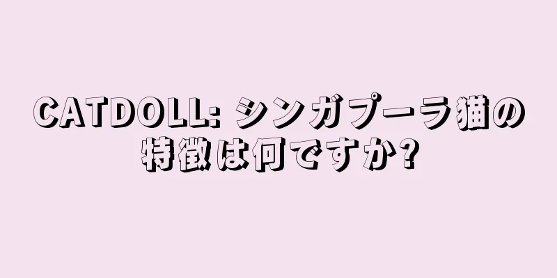 CATDOLL: シンガプーラ猫の特徴は何ですか?