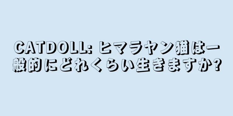 CATDOLL: ヒマラヤン猫は一般的にどれくらい生きますか?