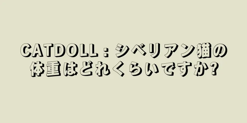 CATDOLL : シベリアン猫の体重はどれくらいですか?