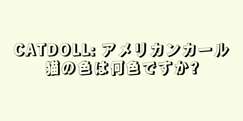 CATDOLL: アメリカンカール猫の色は何色ですか?