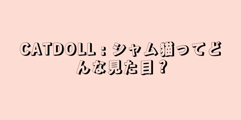 CATDOLL : シャム猫ってどんな見た目？