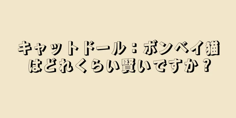 キャットドール：ボンベイ猫はどれくらい賢いですか？