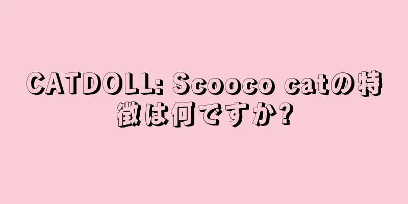 CATDOLL: Scooco catの特徴は何ですか?