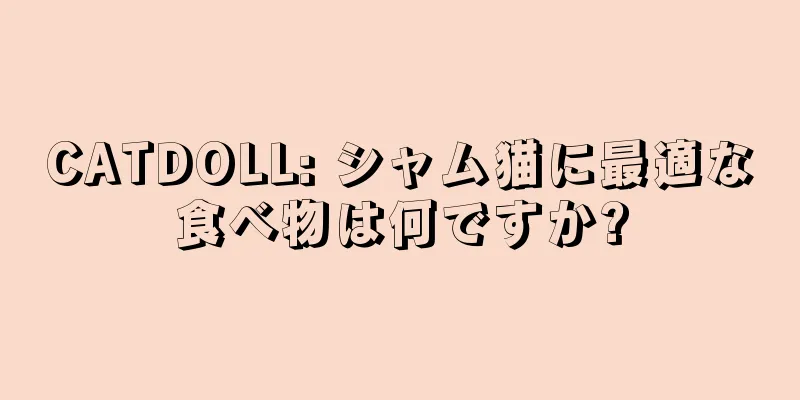 CATDOLL: シャム猫に最適な食べ物は何ですか?