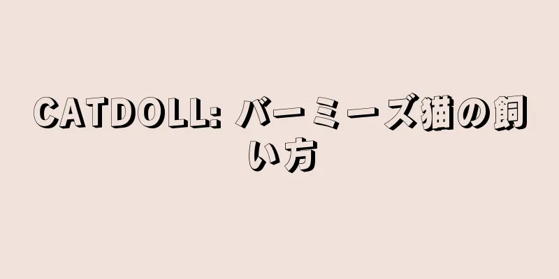 CATDOLL: バーミーズ猫の飼い方
