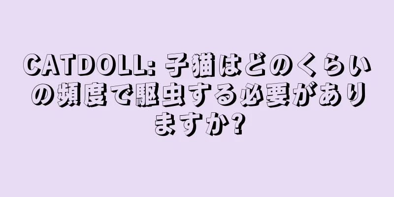 CATDOLL: 子猫はどのくらいの頻度で駆虫する必要がありますか?