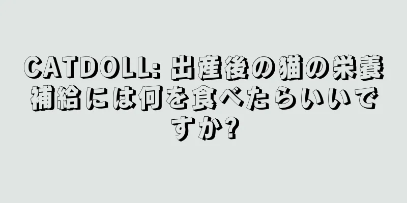 CATDOLL: 出産後の猫の栄養補給には何を食べたらいいですか?