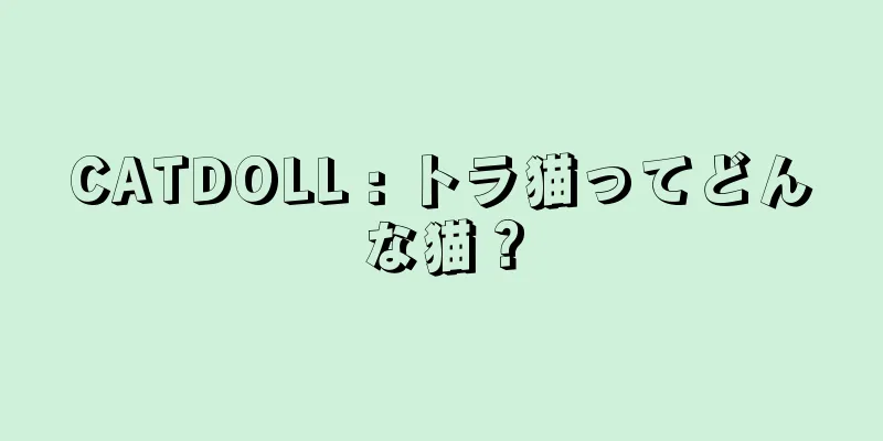 CATDOLL : トラ猫ってどんな猫？