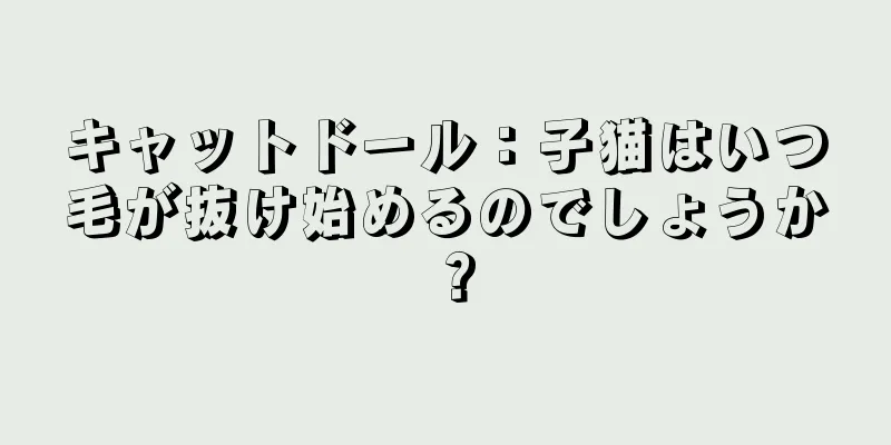 キャットドール：子猫はいつ毛が抜け始めるのでしょうか？