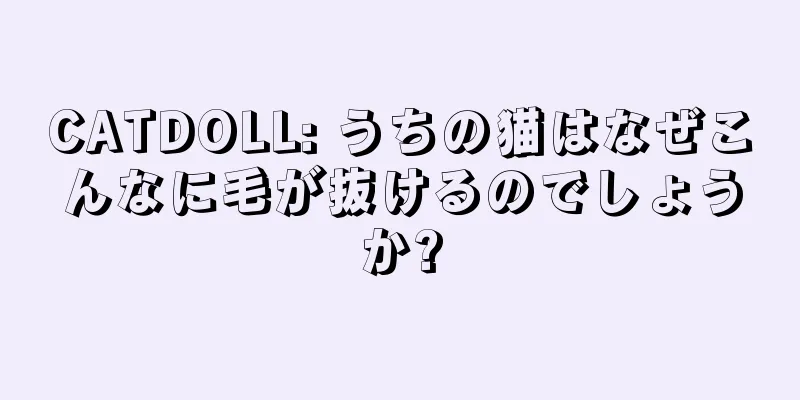 CATDOLL: うちの猫はなぜこんなに毛が抜けるのでしょうか?