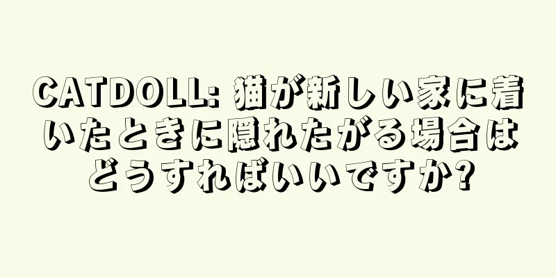 CATDOLL: 猫が新しい家に着いたときに隠れたがる場合はどうすればいいですか?
