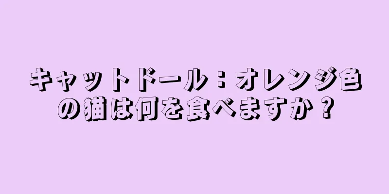 キャットドール：オレンジ色の猫は何を食べますか？