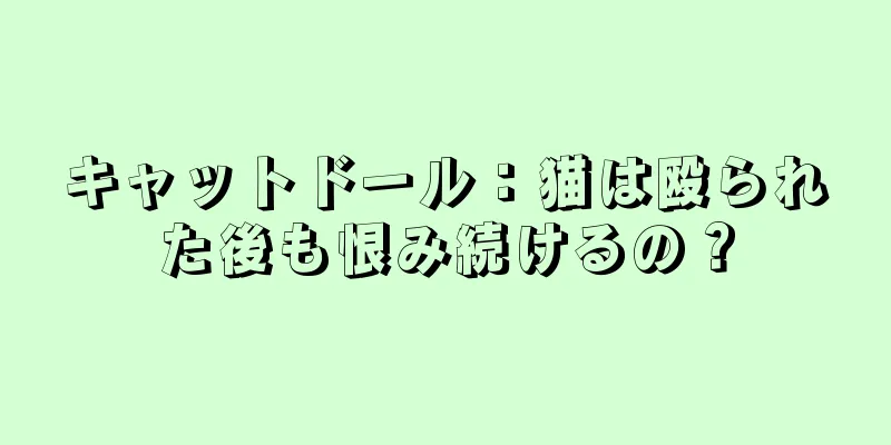 キャットドール：猫は殴られた後も恨み続けるの？