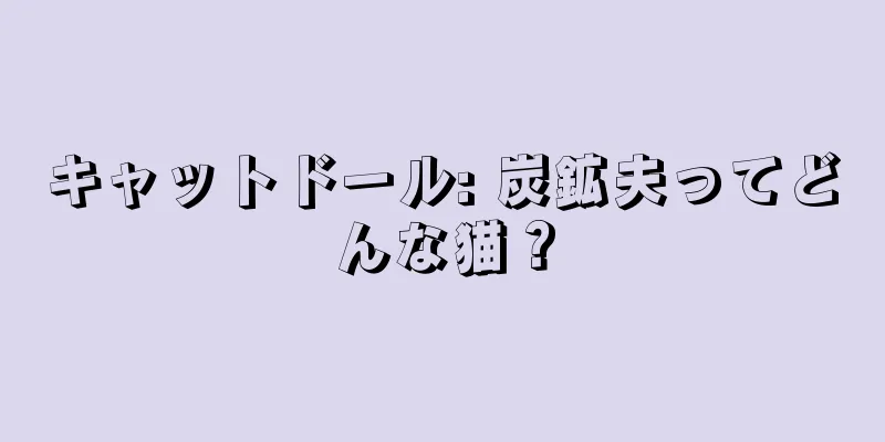 キャットドール: 炭鉱夫ってどんな猫？