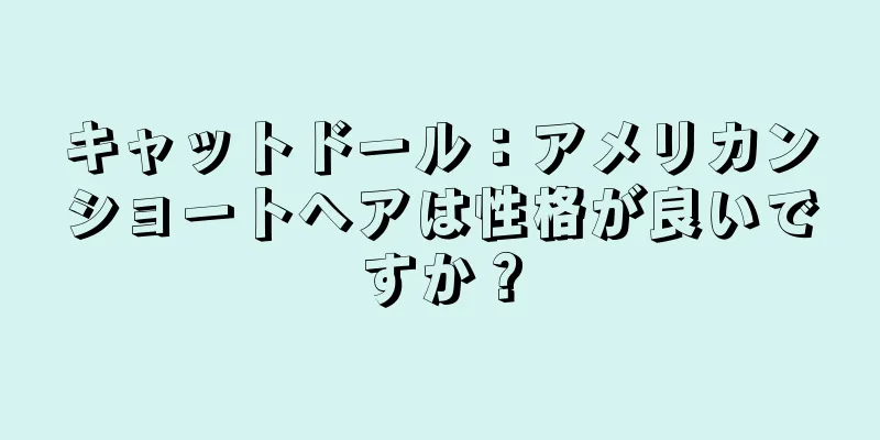 キャットドール：アメリカンショートヘアは性格が良いですか？