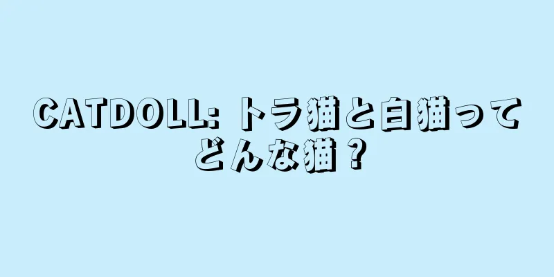 CATDOLL: トラ猫と白猫ってどんな猫？