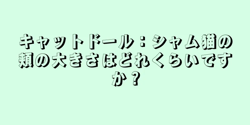 キャットドール：シャム猫の頬の大きさはどれくらいですか？