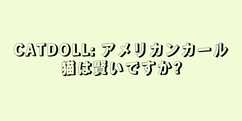 CATDOLL: アメリカンカール猫は賢いですか?