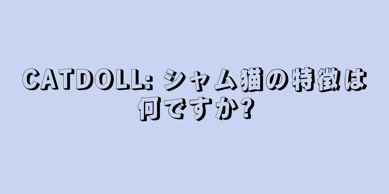 CATDOLL: シャム猫の特徴は何ですか?