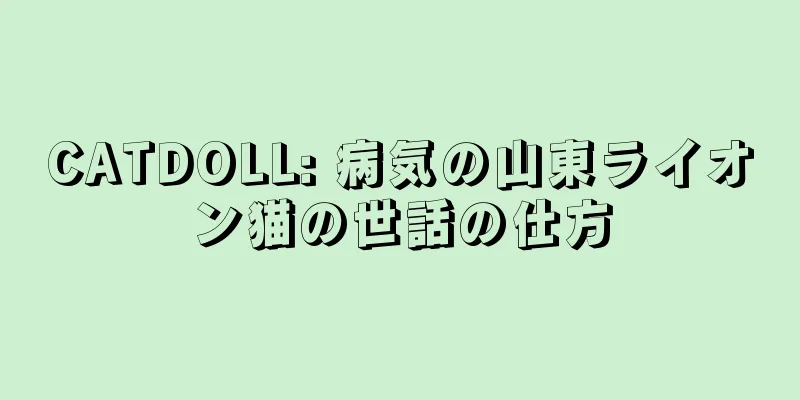 CATDOLL: 病気の山東ライオン猫の世話の仕方