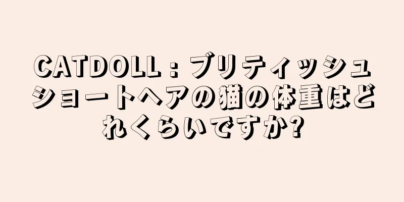 CATDOLL : ブリティッシュショートヘアの猫の体重はどれくらいですか?