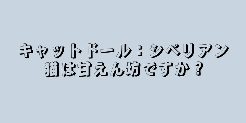 キャットドール：シベリアン猫は甘えん坊ですか？