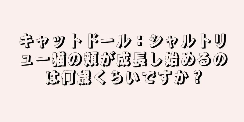 キャットドール：シャルトリュー猫の頬が成長し始めるのは何歳くらいですか？