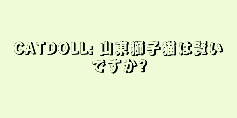 CATDOLL: 山東獅子猫は賢いですか?