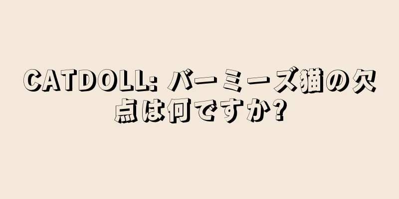 CATDOLL: バーミーズ猫の欠点は何ですか?