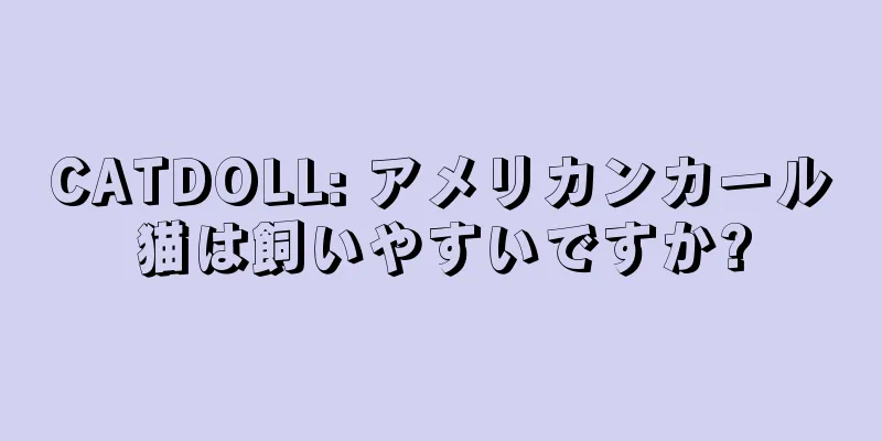 CATDOLL: アメリカンカール猫は飼いやすいですか?