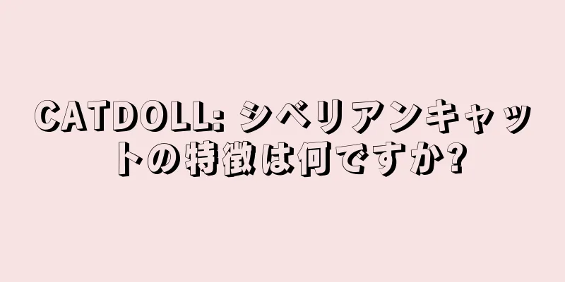 CATDOLL: シベリアンキャットの特徴は何ですか?