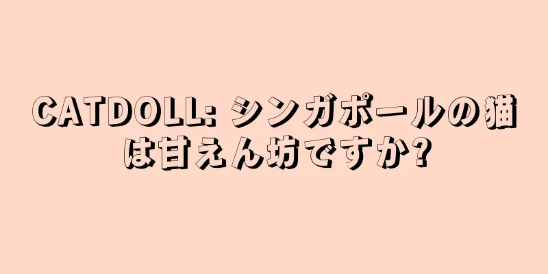 CATDOLL: シンガポールの猫は甘えん坊ですか?