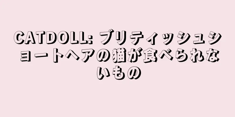 CATDOLL: ブリティッシュショートヘアの猫が食べられないもの