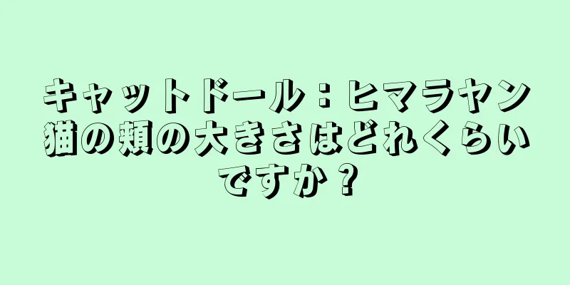 キャットドール：ヒマラヤン猫の頬の大きさはどれくらいですか？