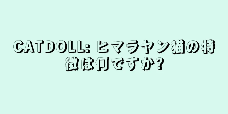 CATDOLL: ヒマラヤン猫の特徴は何ですか?