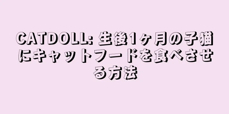 CATDOLL: 生後1ヶ月の子猫にキャットフードを食べさせる方法