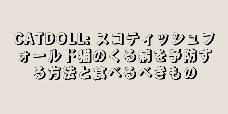 CATDOLL: スコティッシュフォールド猫のくる病を予防する方法と食べるべきもの