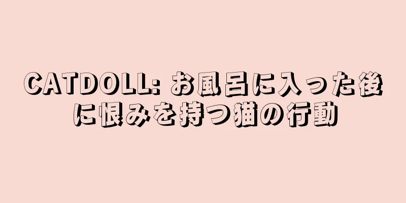 CATDOLL: お風呂に入った後に恨みを持つ猫の行動