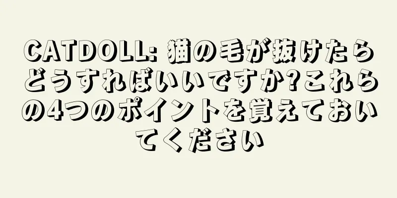 CATDOLL: 猫の毛が抜けたらどうすればいいですか?これらの4つのポイントを覚えておいてください