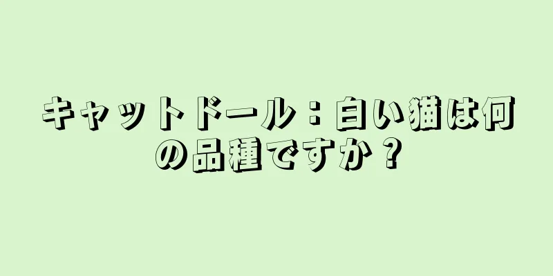 キャットドール：白い猫は何の品種ですか？
